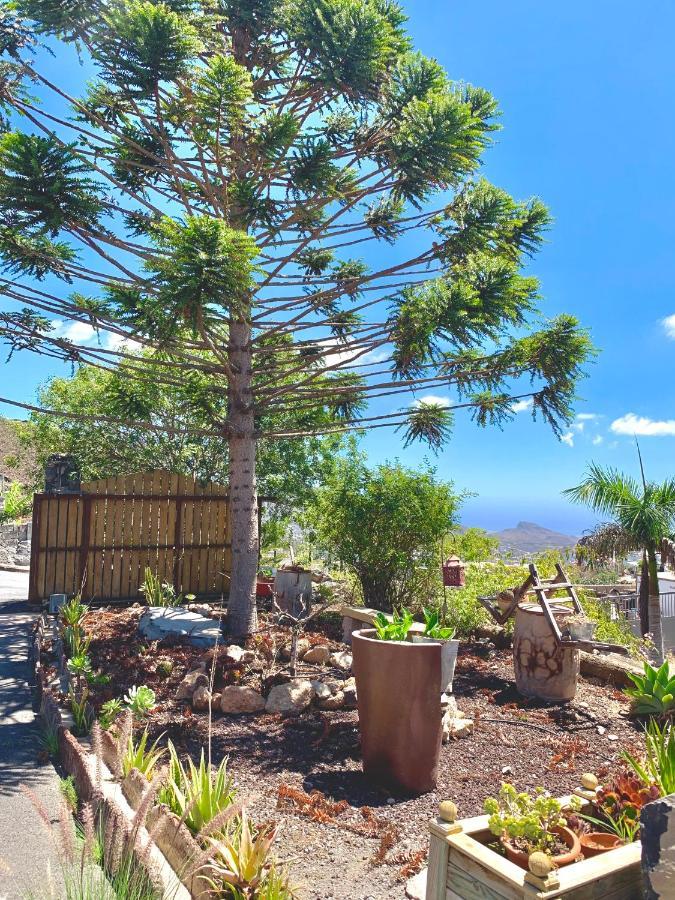 ארונה Finca Chimaca מראה חיצוני תמונה