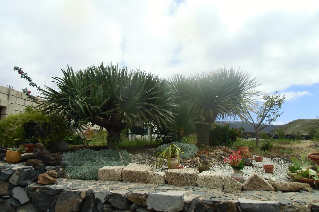 ארונה Finca Chimaca מראה חיצוני תמונה